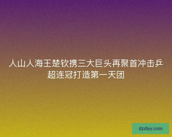 人山人海王楚钦携三大巨头再聚首冲击乒超连冠打造第一天团